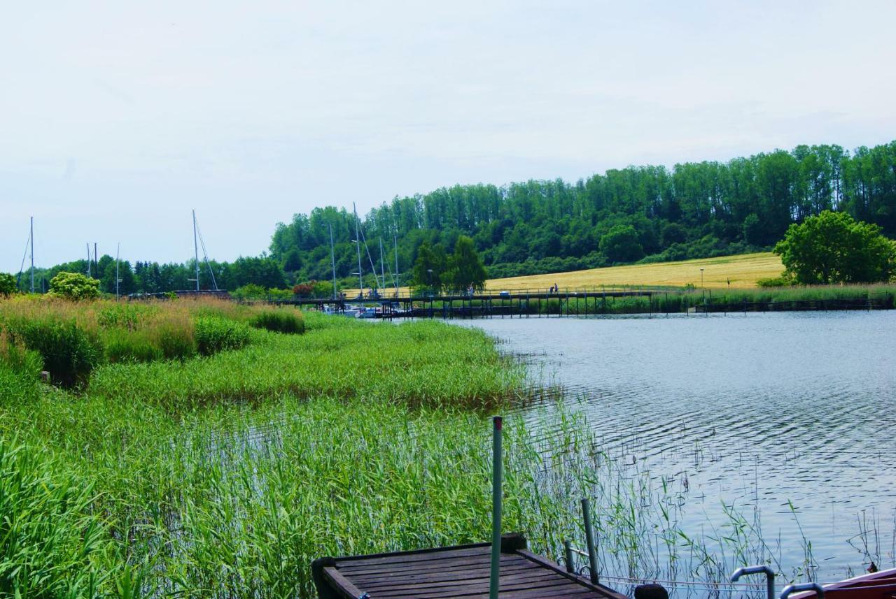Ferienwohnung 4 Im Haus Am See Mit Wintergarten Und Terrasse Seedorf  Buitenkant foto